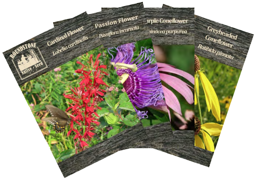 Seed packets - Roundstone Native Seed Company