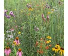 Mix 113 - Southern Mixed Grass Meadow Mix