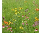Mix 135 - Northern Wildflower Garden Mix