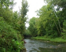 Riparian Mix
