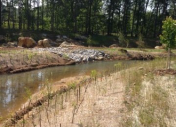 Passive Acid Mine Wetland Mix
