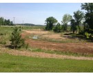 Mix 208 - Southern Quick Erosion Control Cover Mix