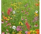 Mix SS-W1 - Southern Pollinator Conservation Mix
