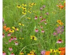 Mix NS-D1 - Northern Pollinator Conservation Mix