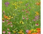 Honey Bee Specialty Mix
