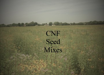 Southern Appalachian Ecotype Seed - CNF Mix 1 – Dry Sites