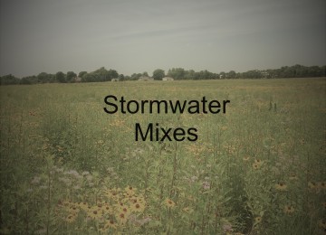 Mix 214 - Coastal Plain Bioswale Mix