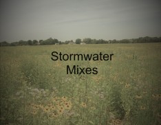 Mix 218 - Northern Infiltration Basin Short Mix