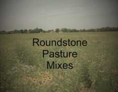 Mix 250 - Native Grass Pasture Mix