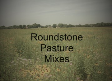 Mix 251 - Pollinator Friendly Pasture Mix