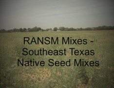 RANSM Mix 1 - Southeast Texas Native Seed Mix