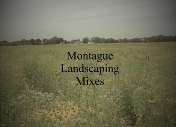 Montague Landscaping Mixes