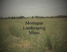 Montague Landscaping Mixes